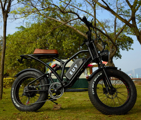 S4 moped ebike