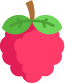 Raspberry Icon