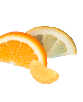 Sliced Oranges