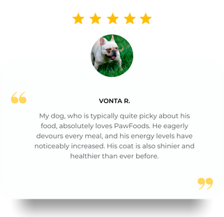 Review Vontar R.