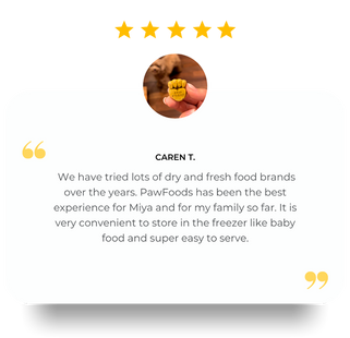 Review Caren