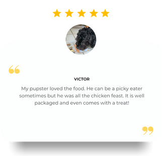 Review Victor