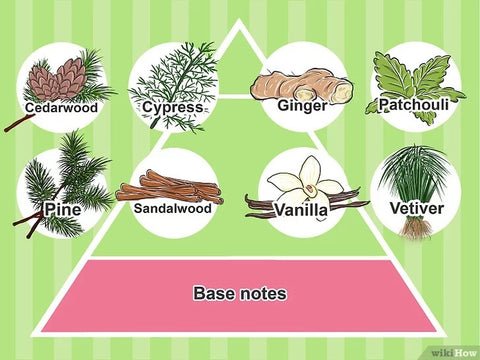 Essential Oil Base Note