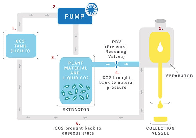 CO2 EXTRACTION