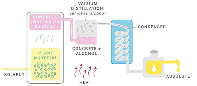 SOLVENT EXTRACTION