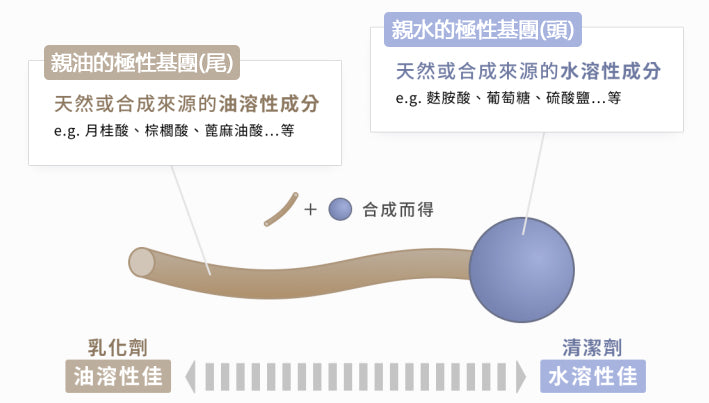 Surfactant Structure