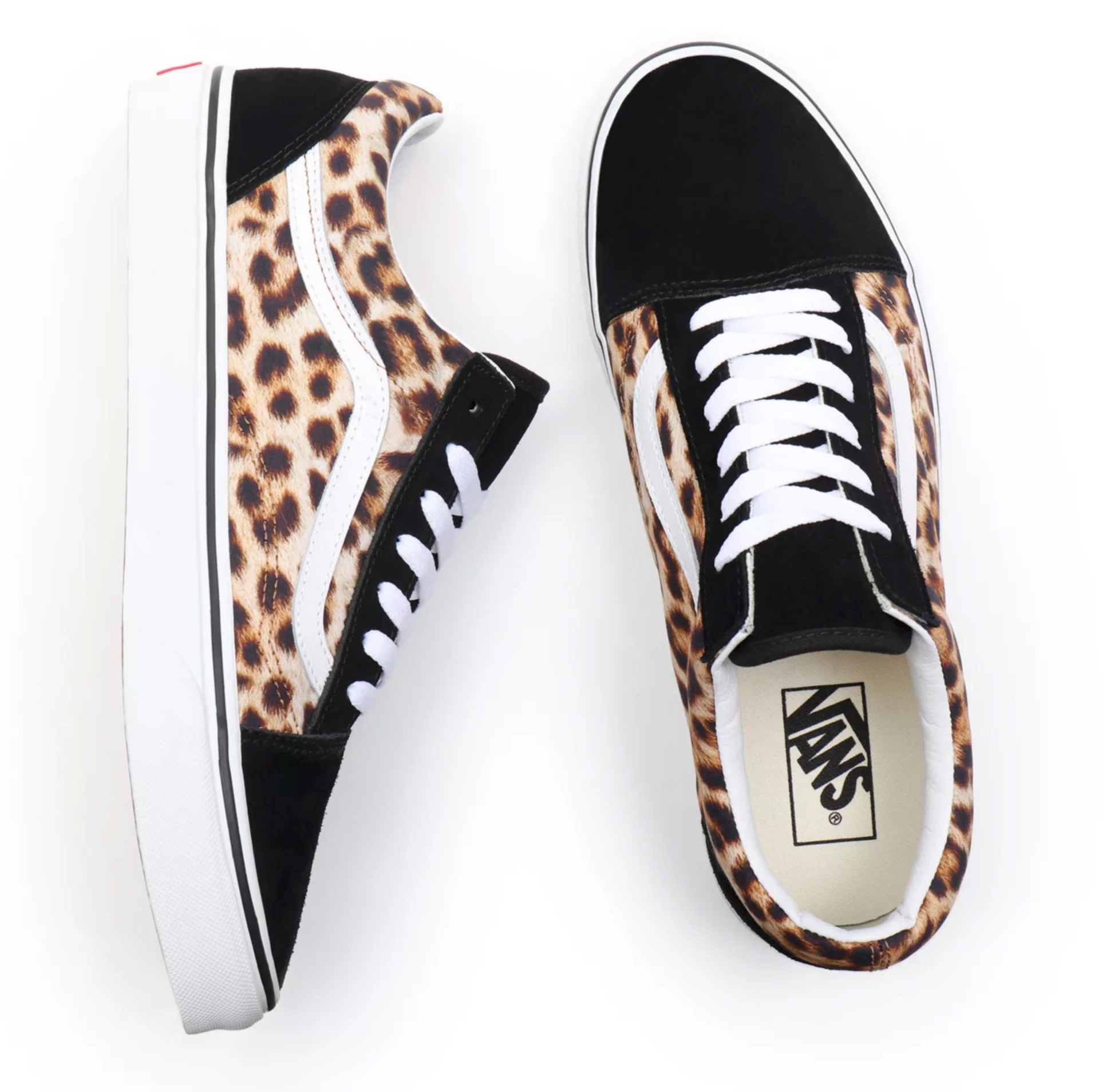 custom cheetah vans