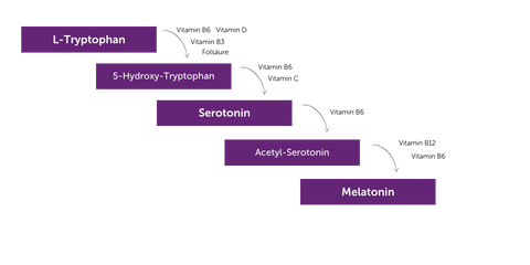 L-Tryptophan und Schlaf