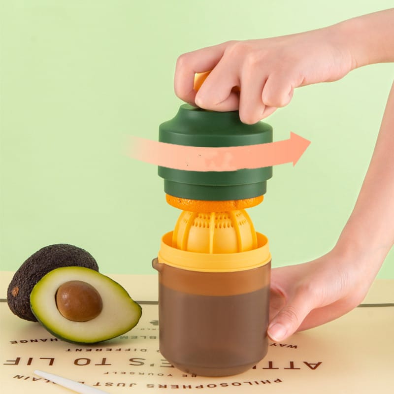 Portable Fruit Juicer Blender