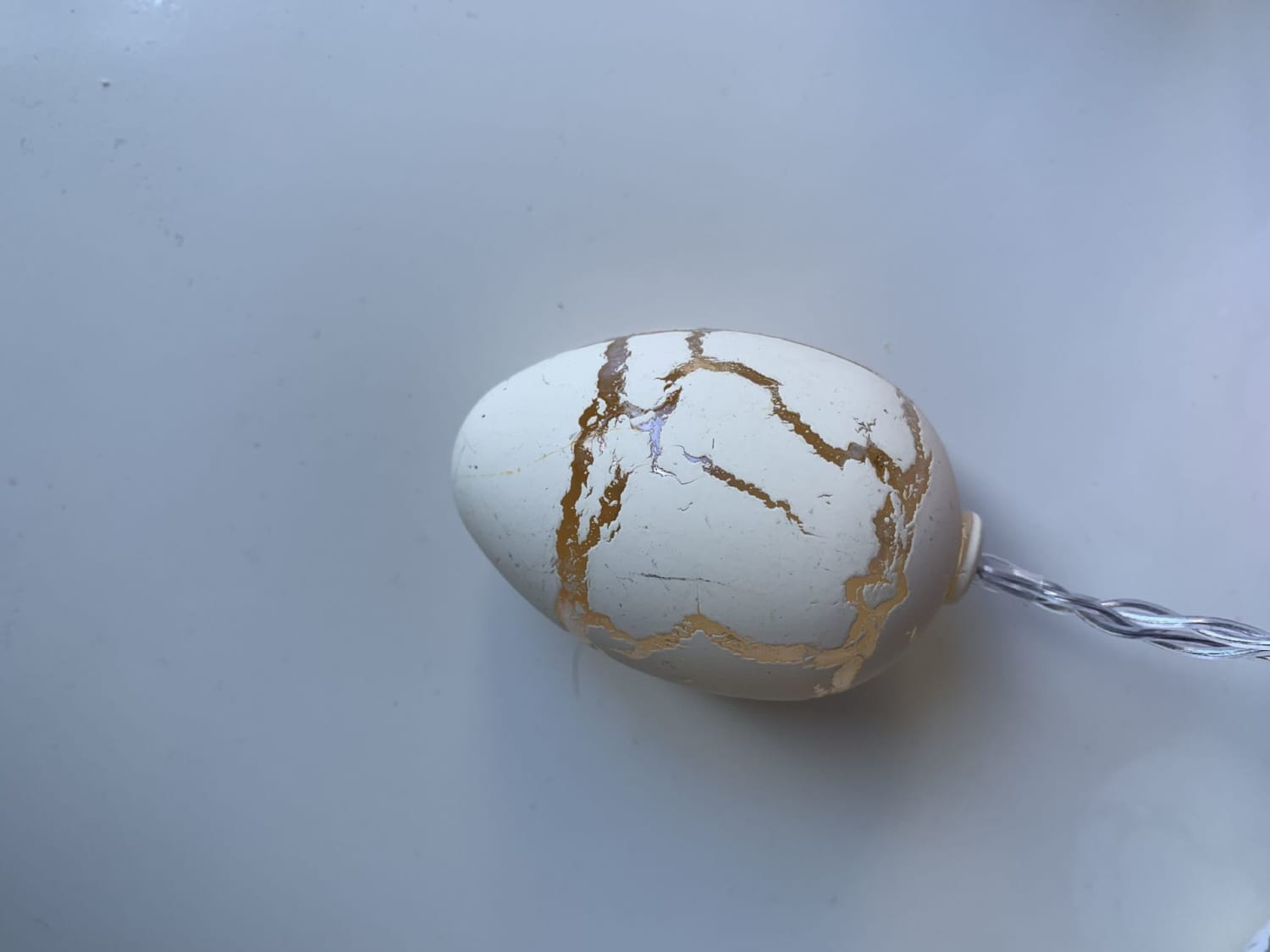 Crack Egg LED Light String