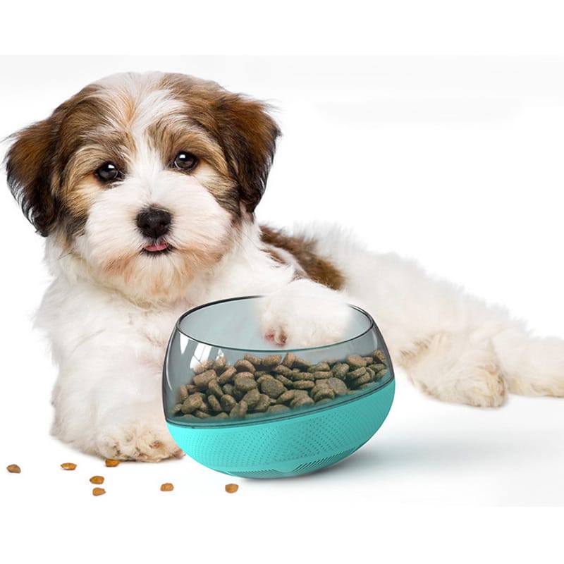 Space Capsule Dog Slow Food Bowl