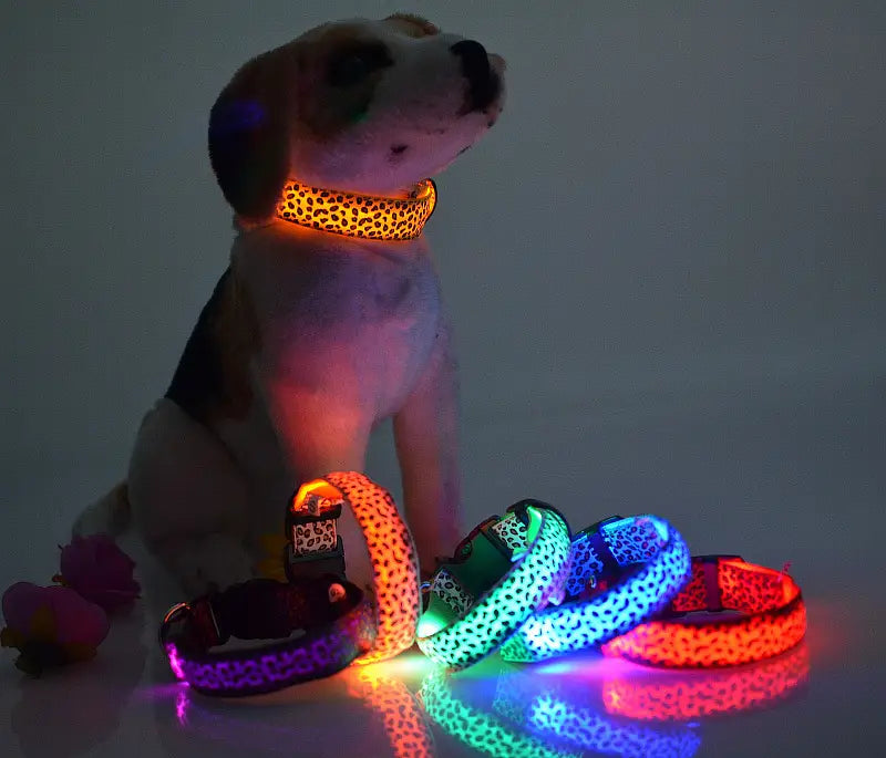 LED Dog Collar with Adjustable Nylon Strap