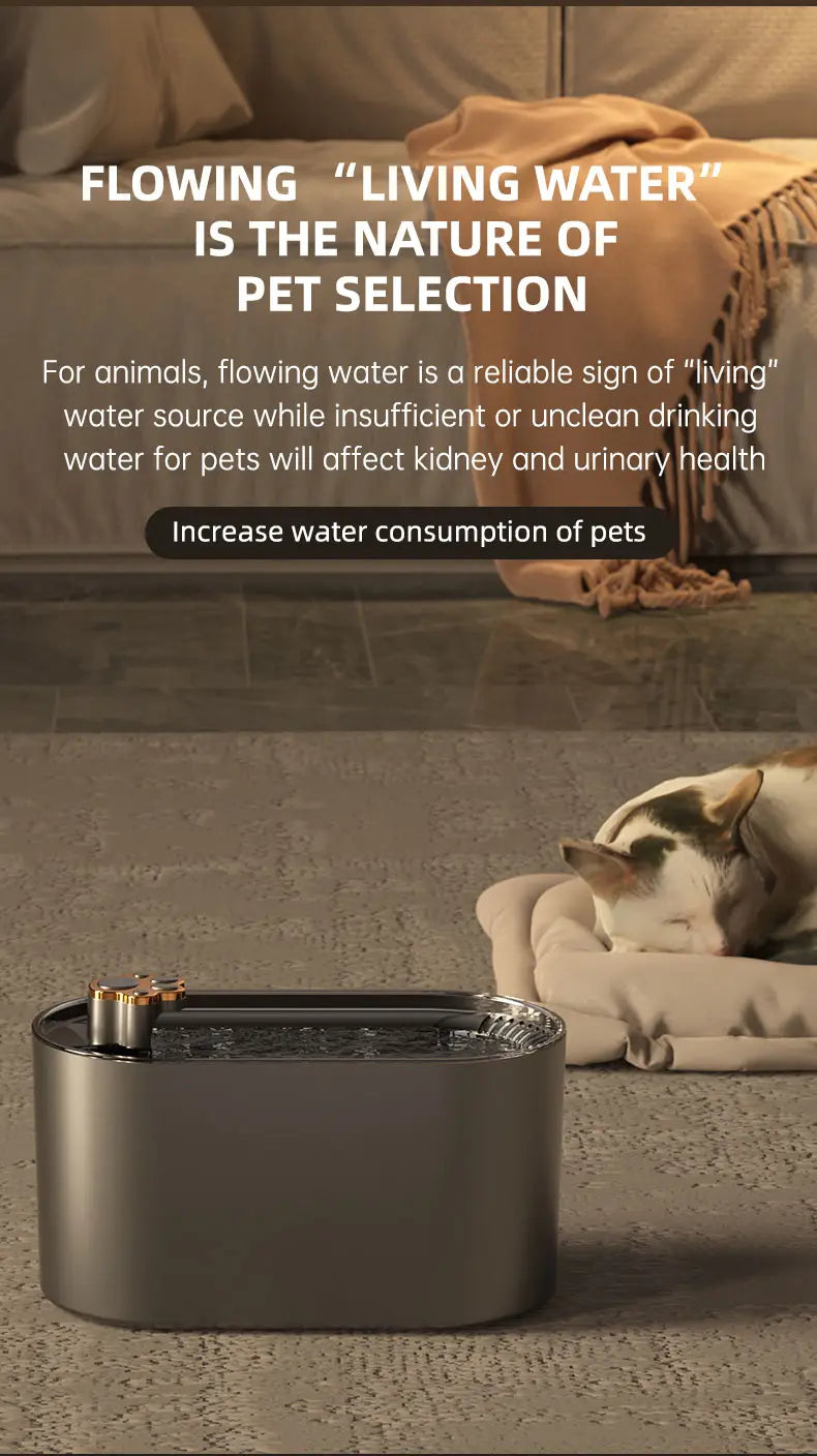 Pet Water Fountain with LED Light
