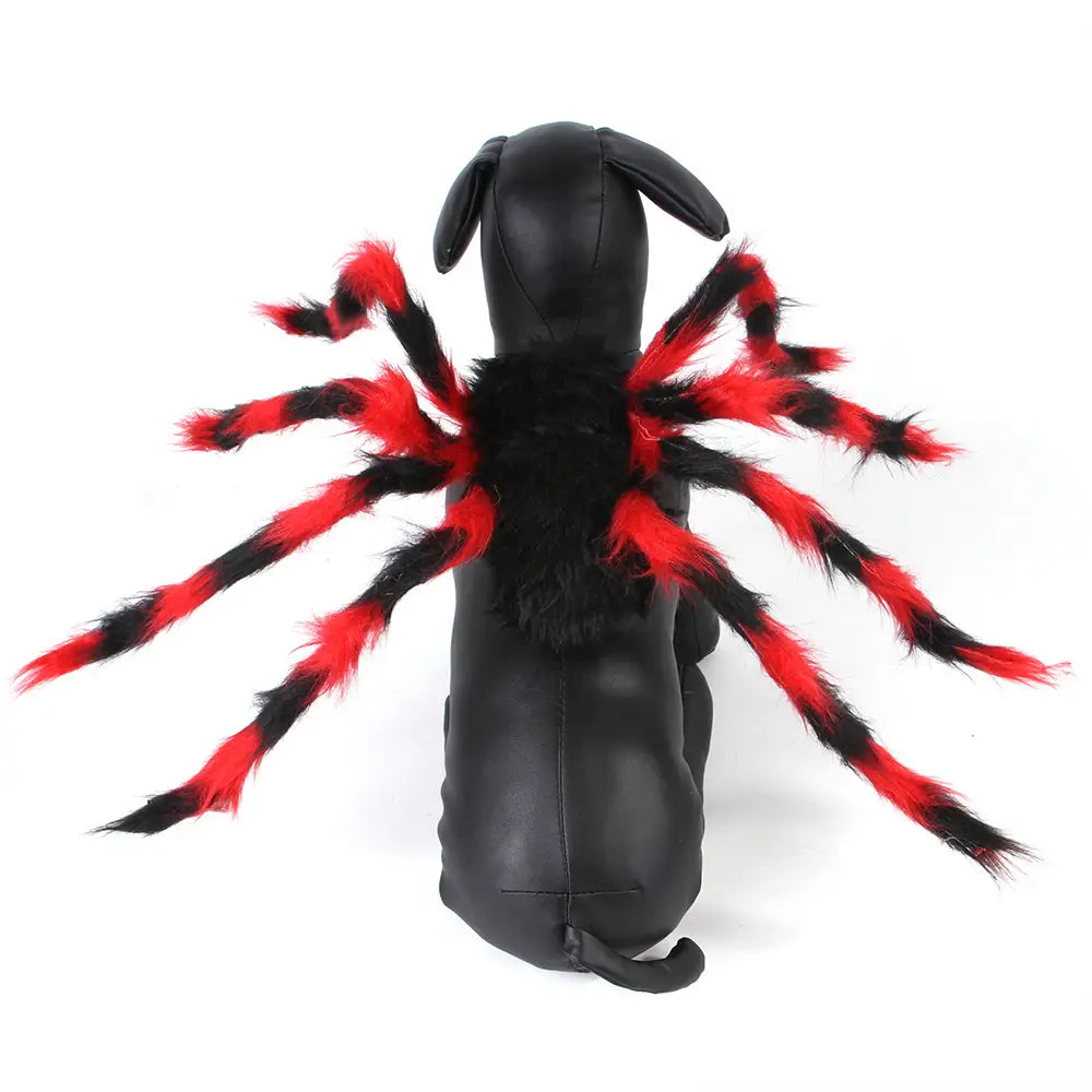 Creative Spider Pet Costume