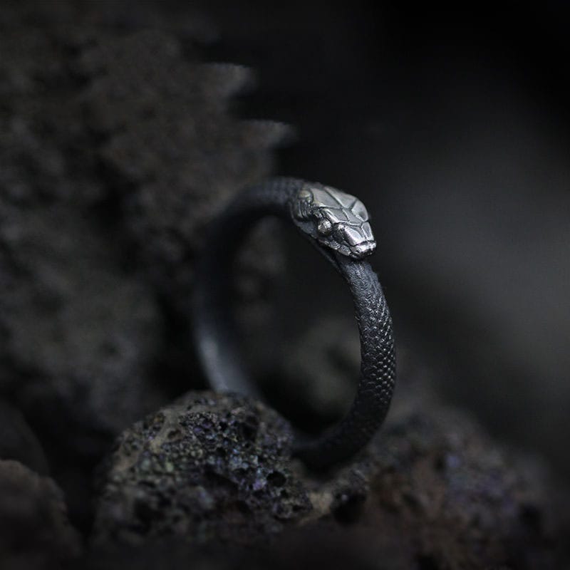 Hypoallergenic Ouroboros Ring