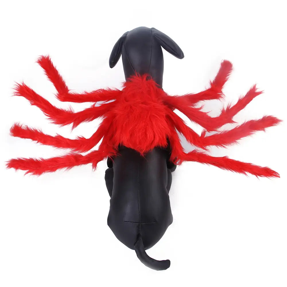 Creative Spider Pet Costume