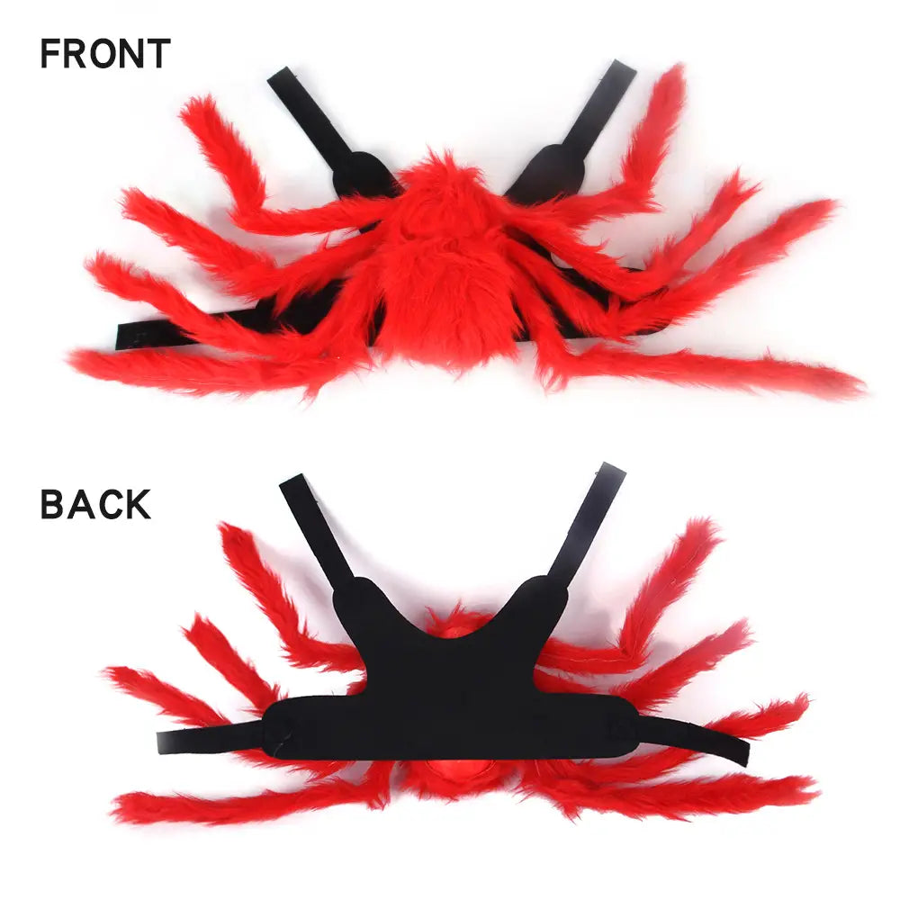 Creative Spider Pet Costume