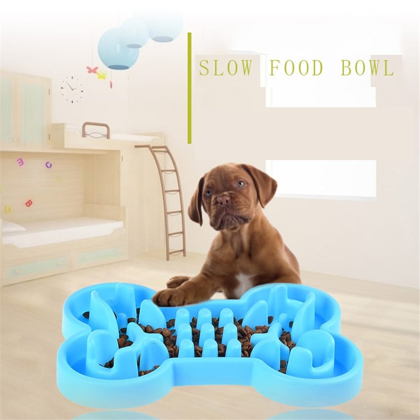 Anti-Choke Slow Feeder Dog Bowl for Travel