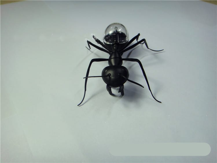 Solar-Powered Ant Baby Toy