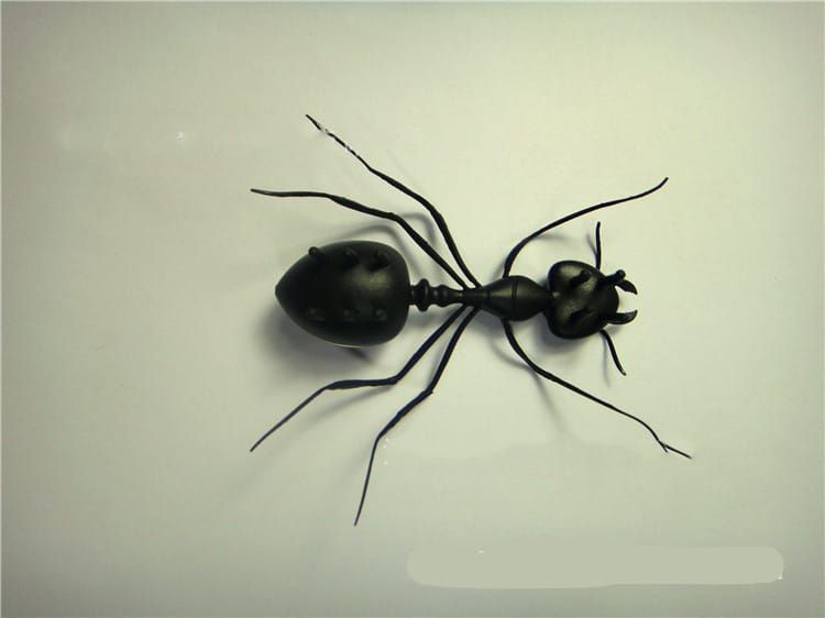 Solar-Powered Ant Baby Toy