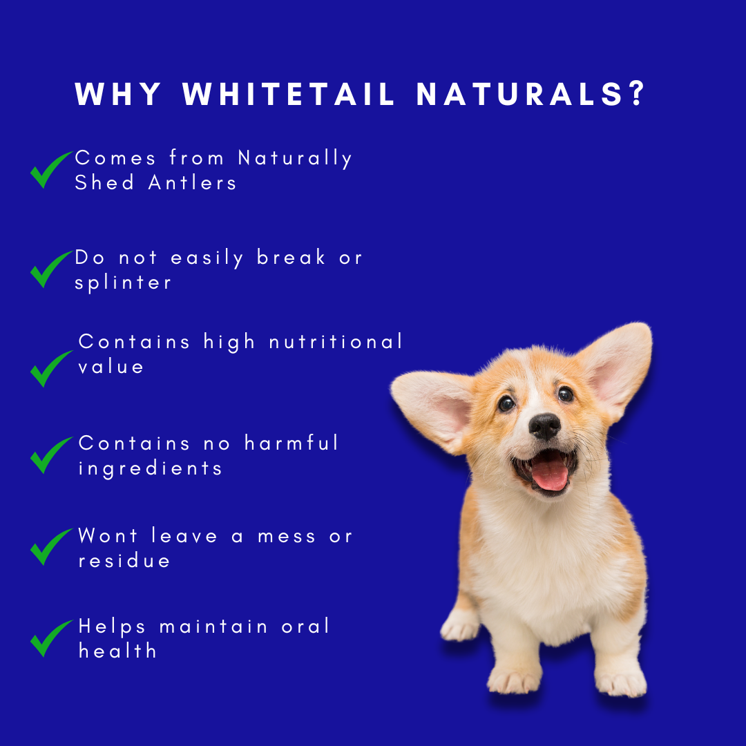 Why wHITEtAIL nATURALS.png__PID:29dc0f59-45e4-43d9-bc27-5a3f040dc20f