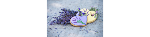 culinary lavender