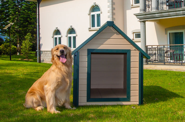 dog house for golden retriever