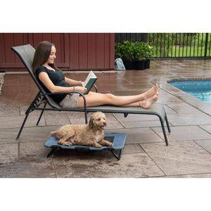 small folding steel frame dog cot keeps dog off dirty  or wet ground