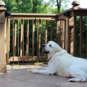 outdoor patio dog gate