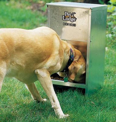 outdoor dog feeders for large dogs