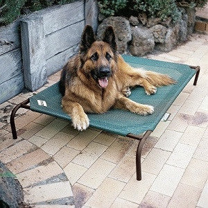 outside dog bed