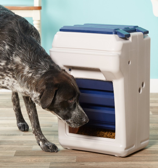 automatic dog feeder for big dogs