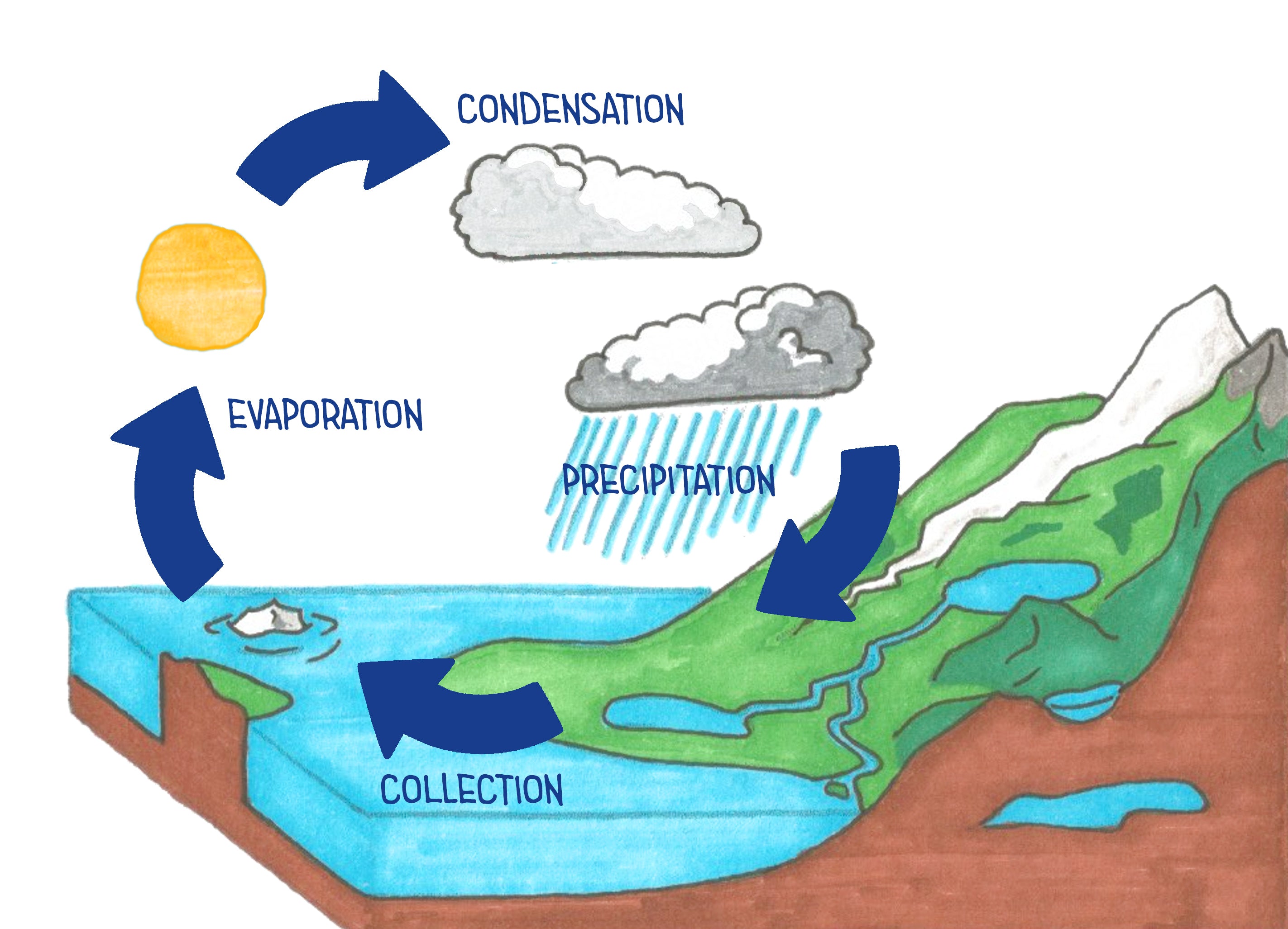 water cycle