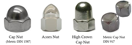 acorn nuts in bulk