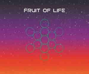 fruit-of-life-sacred-geometry