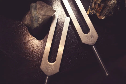 Two 432-hertz tuning forks held in front of a couple crystals