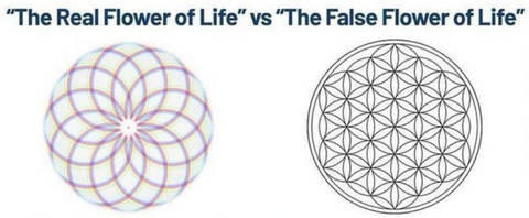 Lotus of Life versus Flower of Life