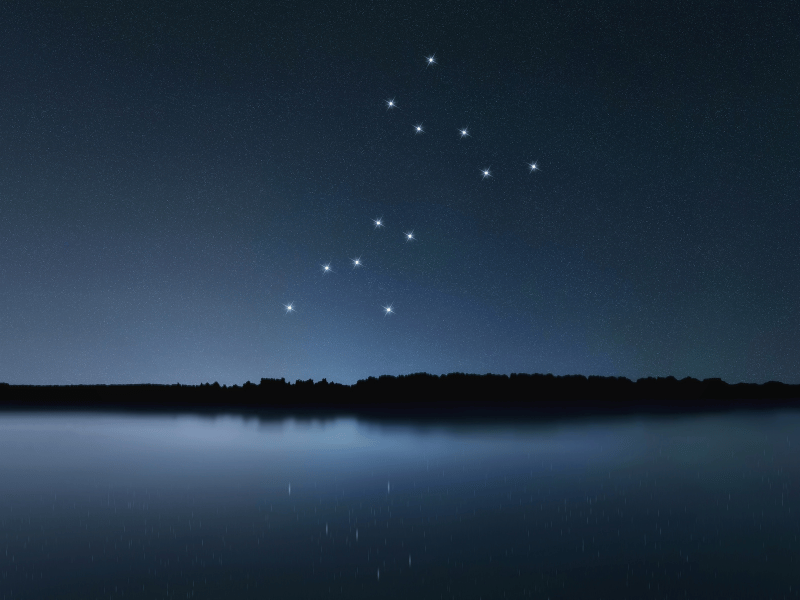 dog-star-constellation