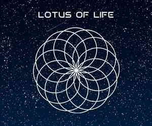 lotus-of-life-sacred-geometry