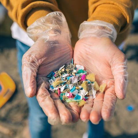 Plastic gloved handful of colorful microplastics picked up at the beach