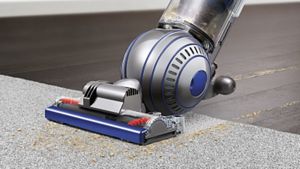 Dyson Ball Animal 2 self adjusting cleaner head