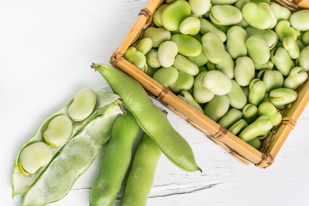 Broad beans