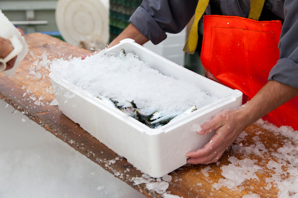 Foam fish box