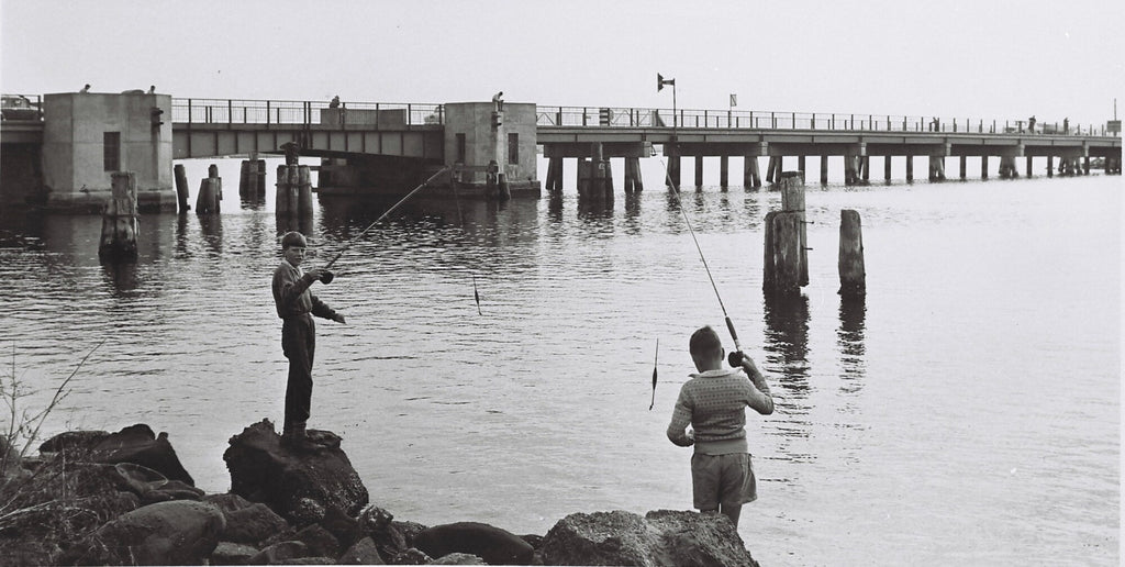 Fishing near Swansea Bridge