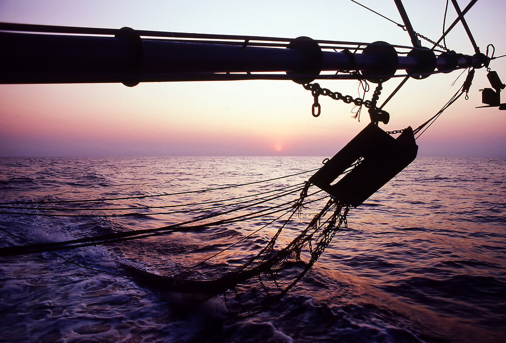 Prawn trawler at sunset