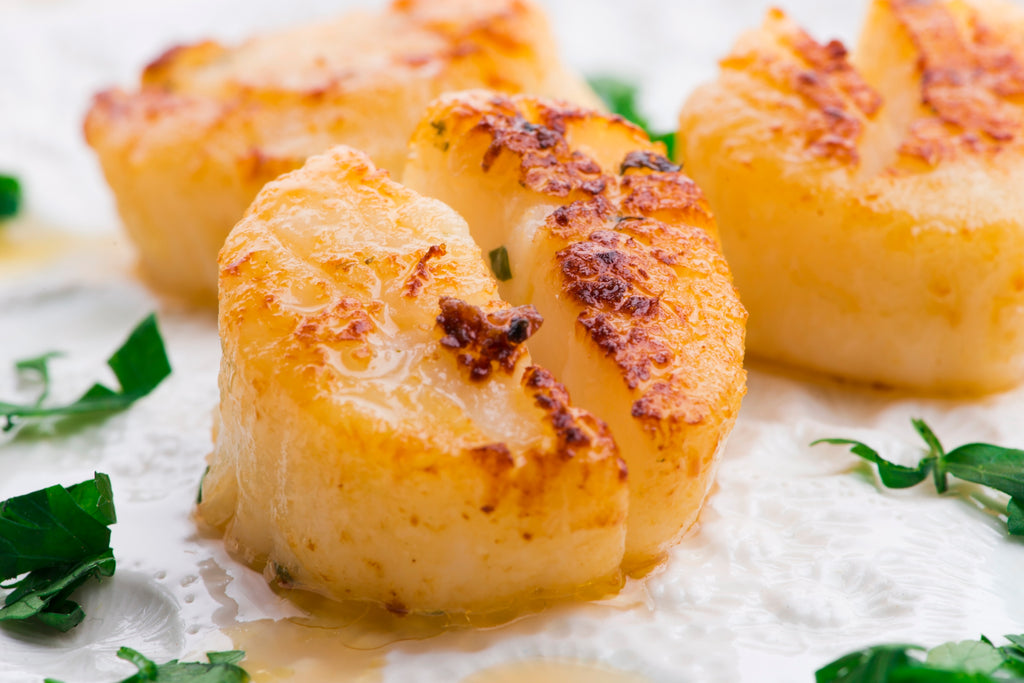 Seared scallop meat