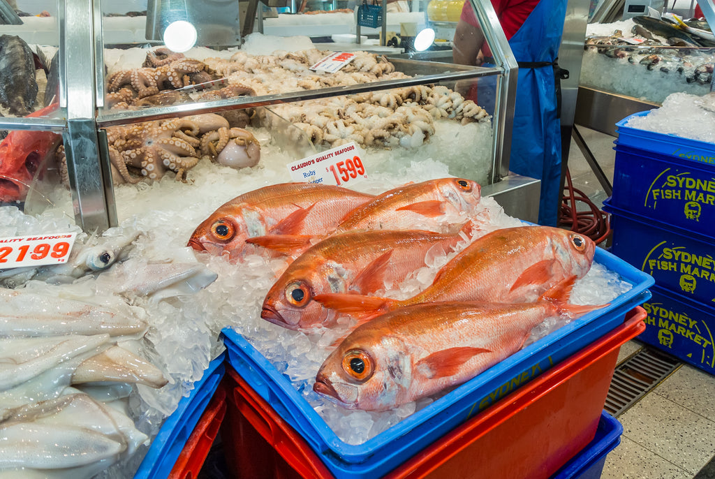 Sydney Fish Market