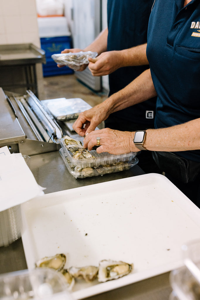 Making up dozen oyster trays at Dawson's Oyster Supplies