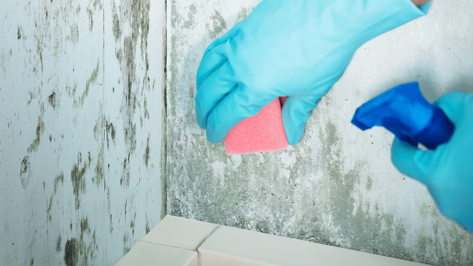 How To Tackle Mildew Build-Up In The Bathroom_1