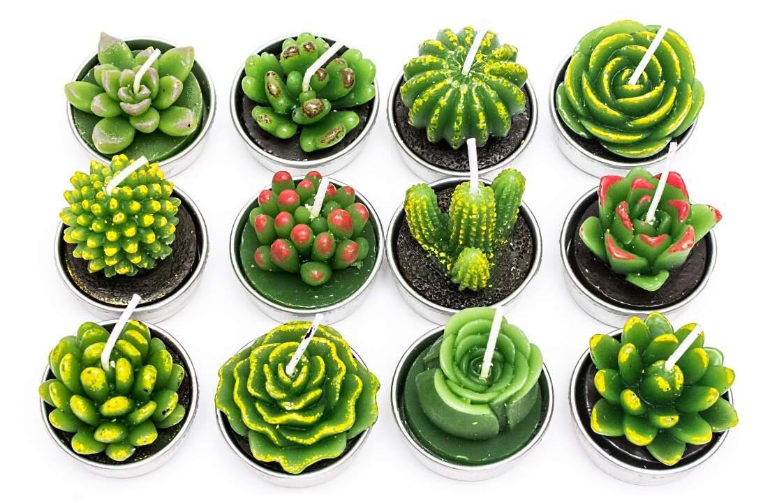 12-Pcs Smokeless Aromatherapy Handmade Succulent Cactus Candles Decordovia